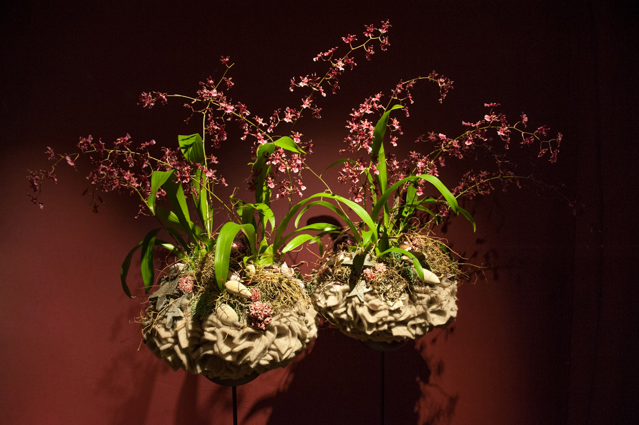  Weihnachtsgesteck mit Orchideen 