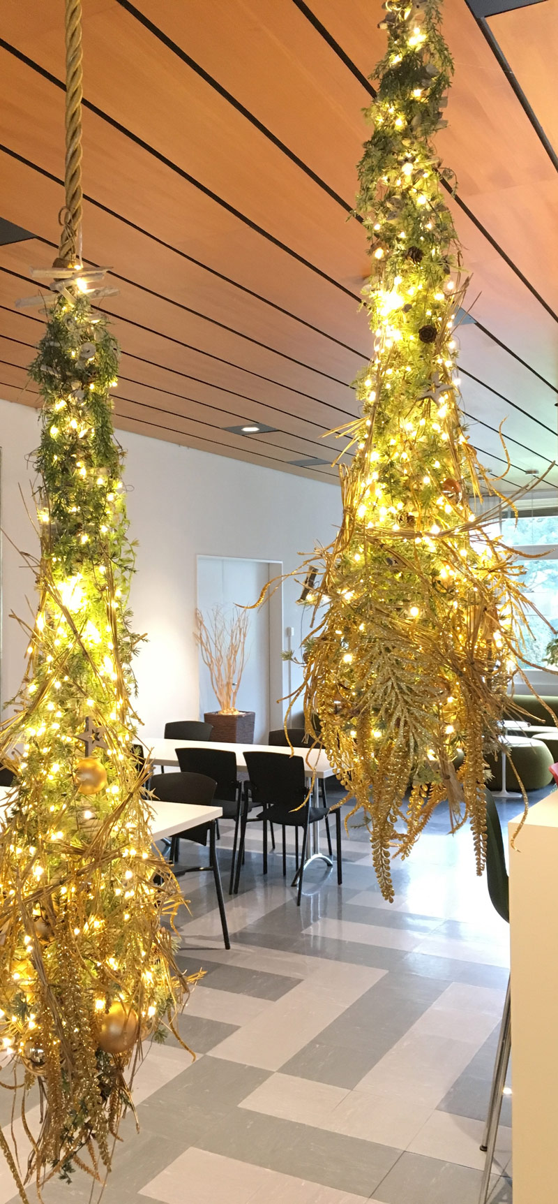 Goldige Lichtertröpfe hängend 